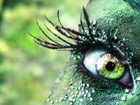 Eye