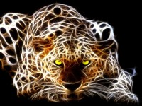 Panther