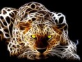 Panther